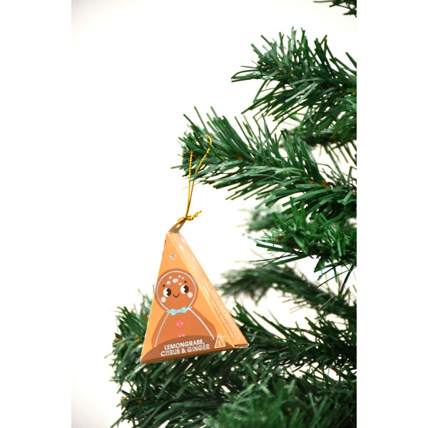 Συλλογή Χριστουγεννιάτικου δέντρου | Christmas tree collection - Lemongrass, Citrus & Ginger | 25ct Pyramid