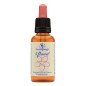 Ιαμα ∆ιάσωσης | 5 flower Rescue Remedy 30ml