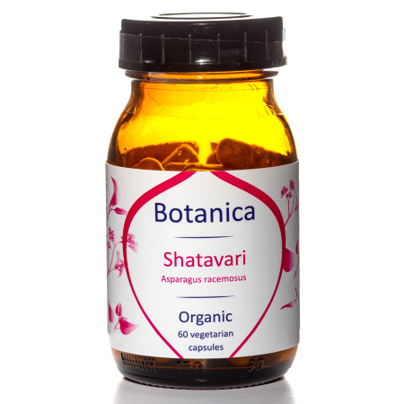Βιολογικό Σαταβάρι | Organic Shatavari | 60caps