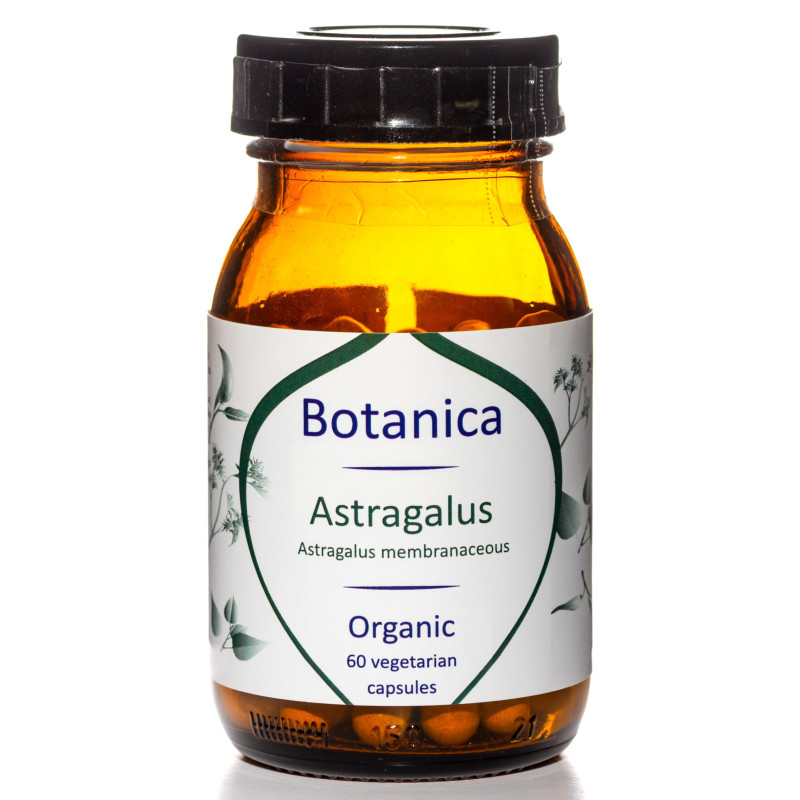 Βιολογικός Αστράγαλος | Organic Astragalus | 60caps