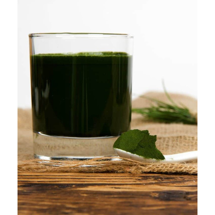 Organic Wheat grass Powder|Βιολογικός Χυμός Σιταρόχορτου σε Σκόνη 30:1|110gr Organic Wheat grass Powder|Βιολογικός Χυμός Σιταρόχορτου σε Σκόνη 30:1|110gr