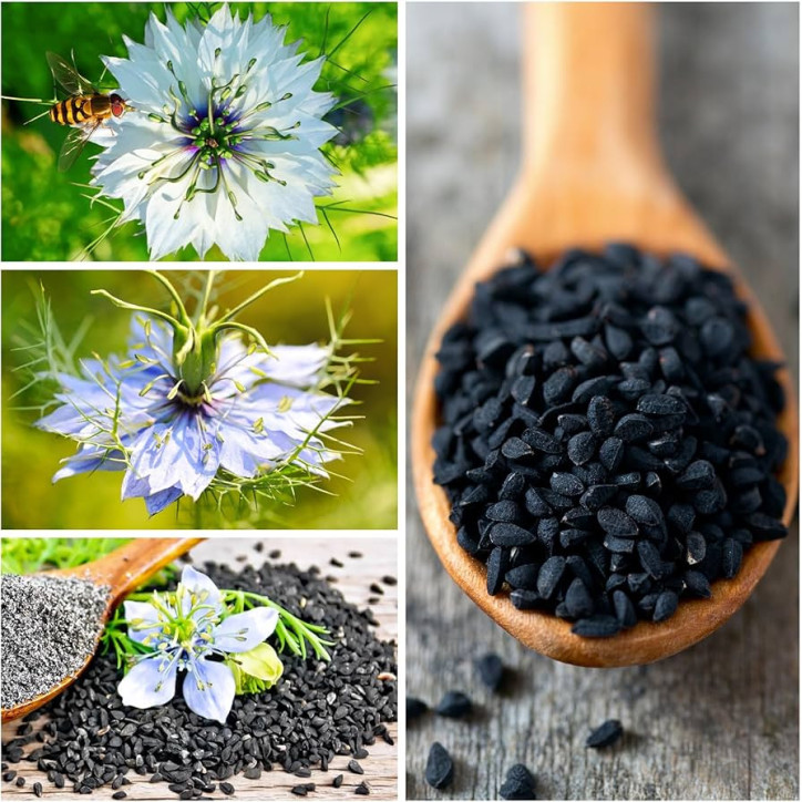 Organic Black Seed Oil|Βιολογικό Λάδι από Μαύρο Κύμινο|250ml
