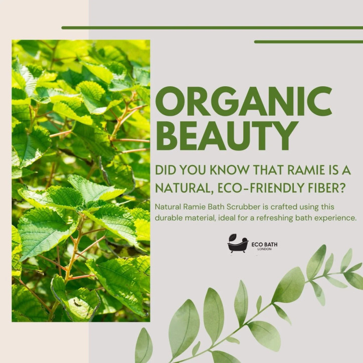 Eco Bath London | Σφουγγάρι Σώματος από Φυσικό Ράμι