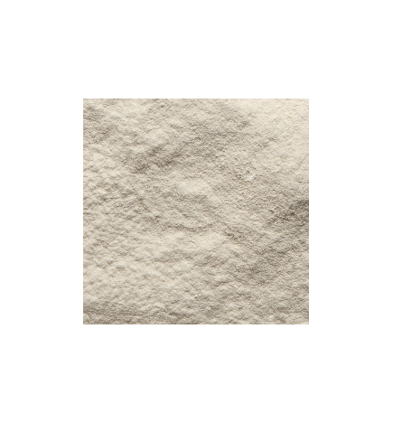 Organic Rice Protein Powder Maya Gold Organic