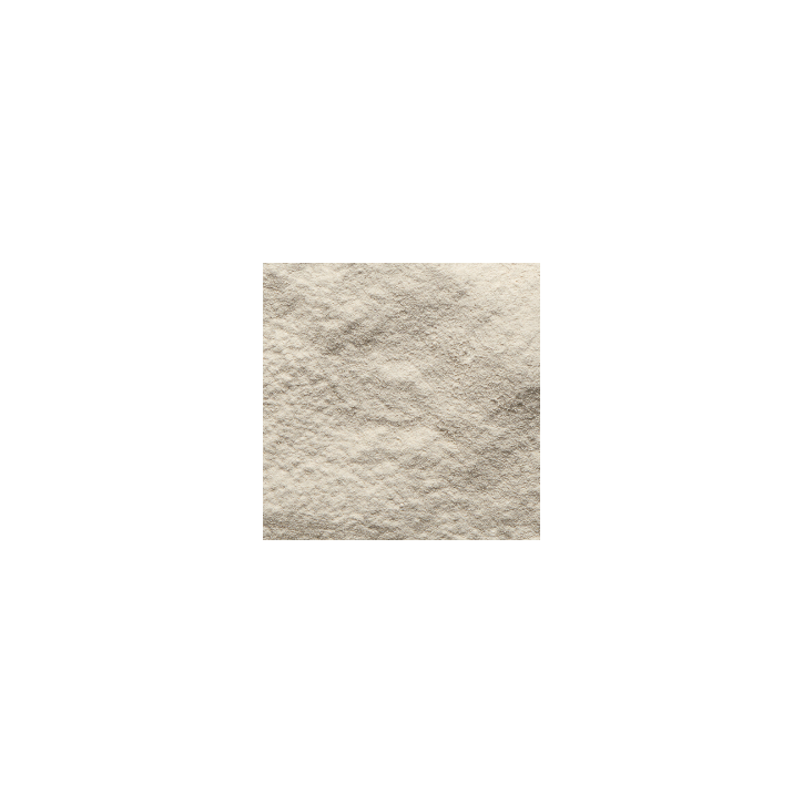 Βιολογική Πρωτεΐνη Ρυζιού | Organic Rice Protein Powder | 500gr