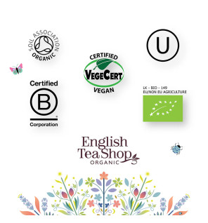 Pumpkin Spice - 20 Tea Sachets - NEW FOR 2025