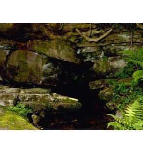 Ανθοΐαμα Rock Water 30ml