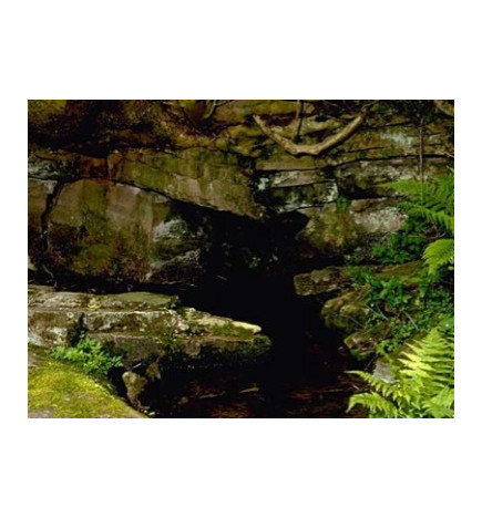 Ανθοΐαμα Rock Water 30ml