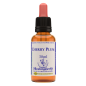 Ανθοΐαμα Cherry Plum 10ml Ανθοΐαμα Cherry Plum 10ml