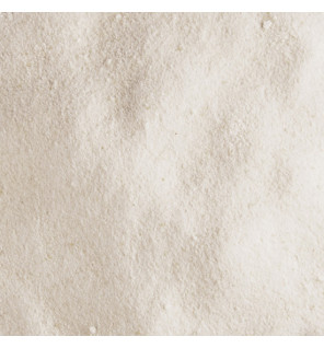 Βιολογικό Νερό Καρύδας σε Σκόνη Maya Gold 100 gr