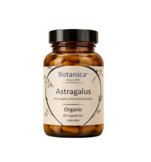 Βιολογικός Αστράγαλος|Organic Astragalus 500mg|60caps