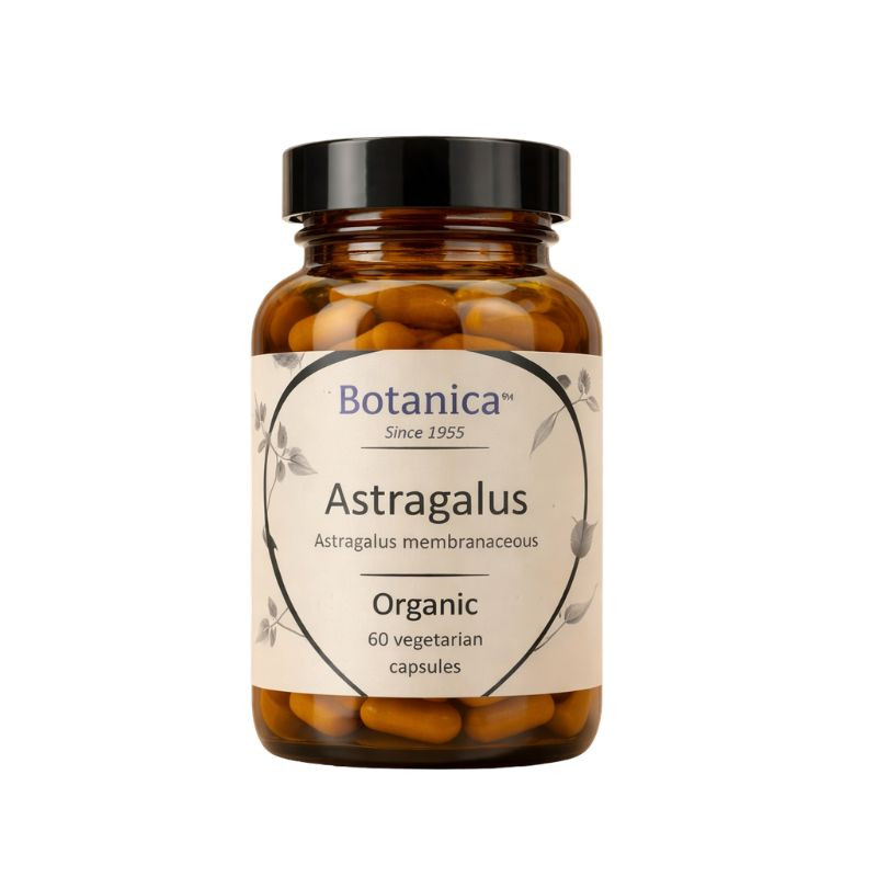 Βιολογικός Αστράγαλος|Organic Astragalus 500mg|60caps