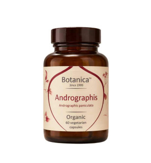 Βιολογική Ανδρογραφίδα|Organic Andrographis 500mg|60caps