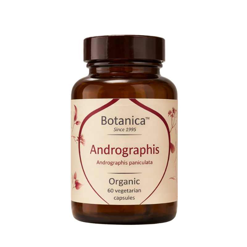 Βιολογική Ανδρογραφίδα|Organic Andrographis 500mg|60caps