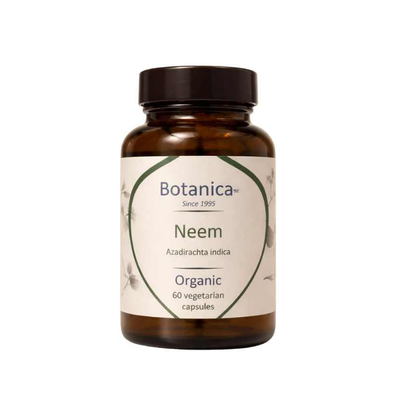 Βιολογικό Νημ|Organic Neem| 60 capsules