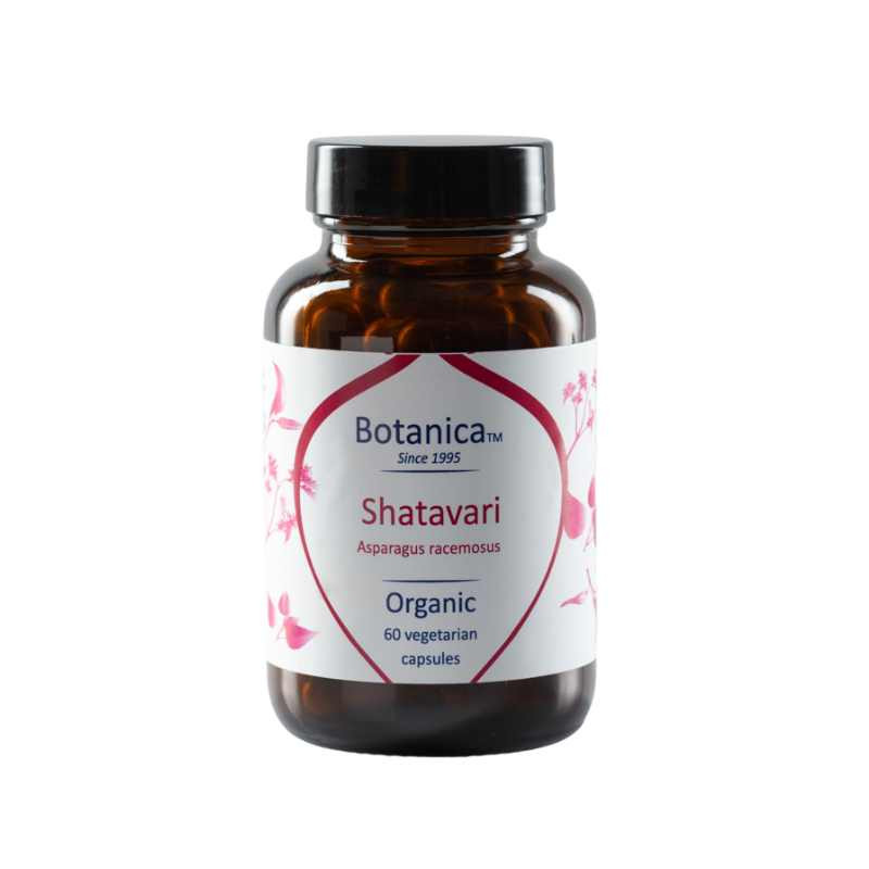 Βιολογικό Σαταβάρι|Organic Shatavari 500mg |60caps