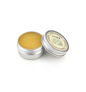Βάλσαμο για τα χείλη με μέντα|Wild Mint Lip Salve|15ml
