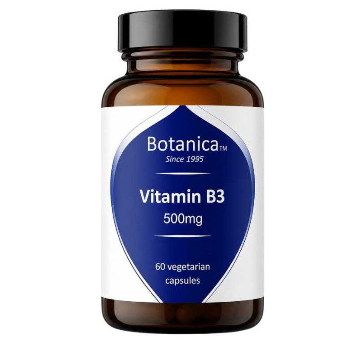Βιταμίνη B3|Vitamin B3|60 Veg.Caps
