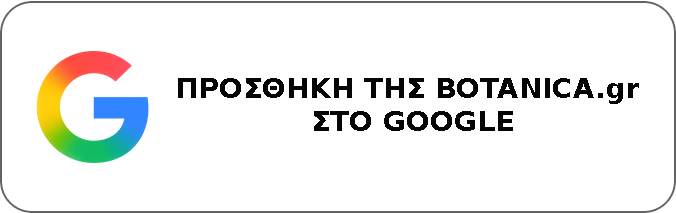 Προσθήκη σαν προτιμώμενη πηγή