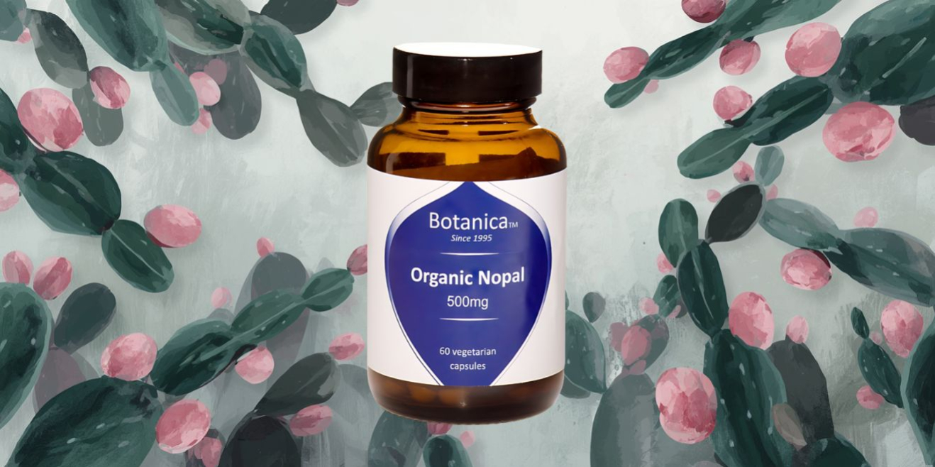 Εκχύλισμα βιολογικού φραγκόσυκου : Ο σύμμαχός σας στην ρύθμιση του σωματικού βάρους